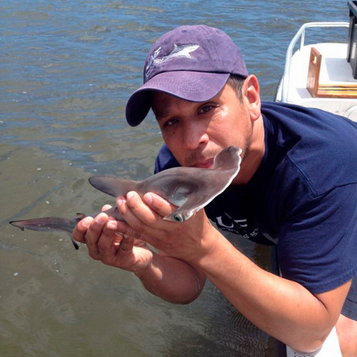 Jim Gelsleichter headshot