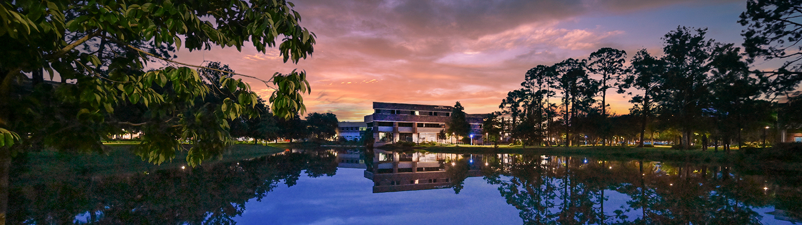 coggin college of business at sunrise