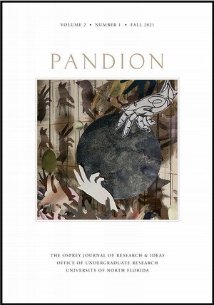 PANDION Cover 2021-1