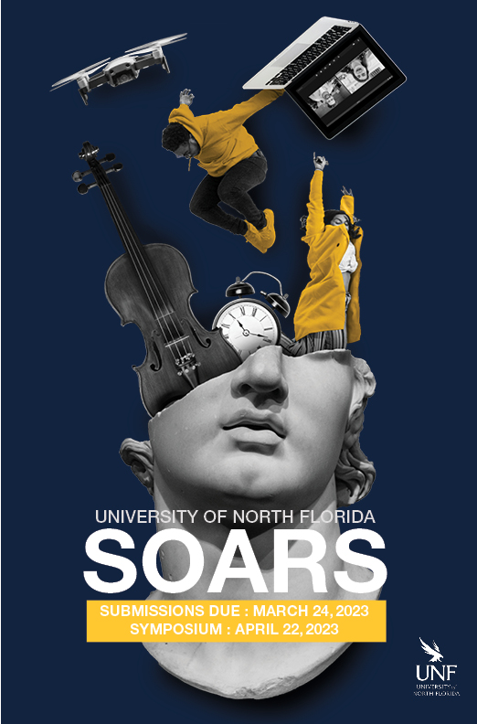 SOARS asset 