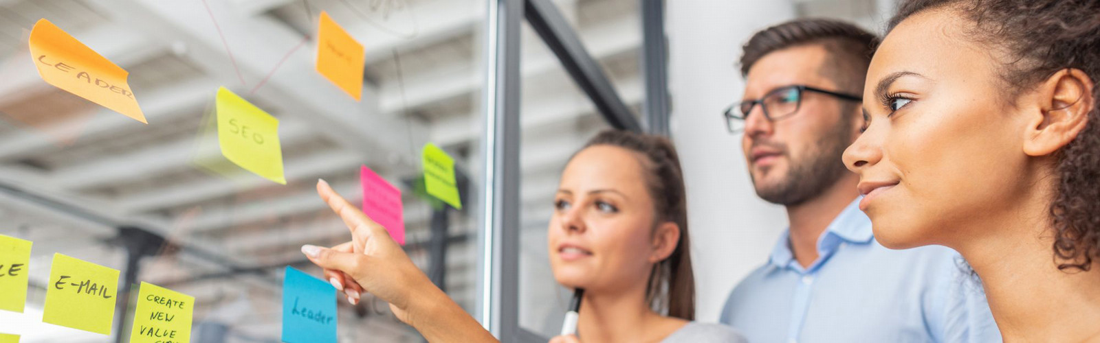 Working marketing team