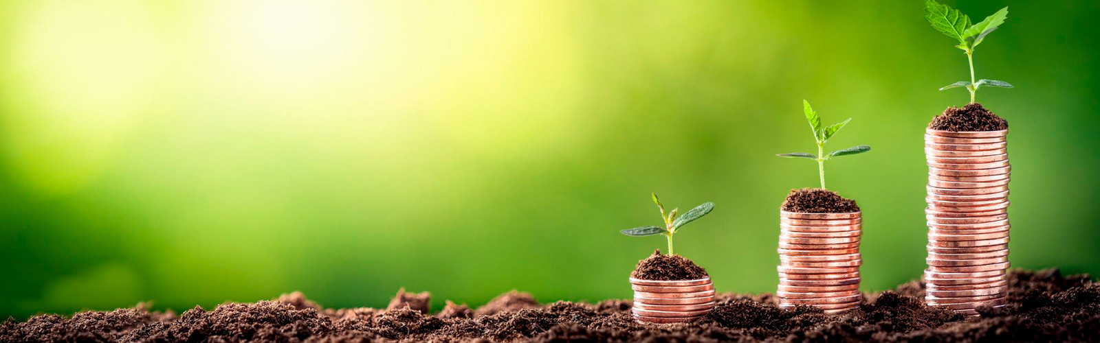 Saving are growing