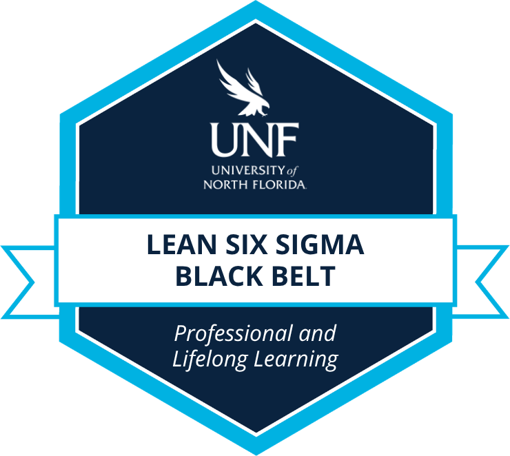 Lean Six Sigma Black Belt badge