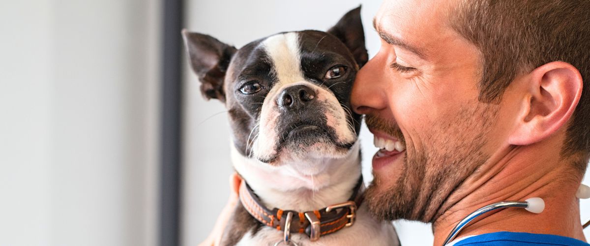 Vet assistant with dog