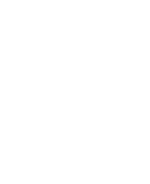 white america 250 florida logo