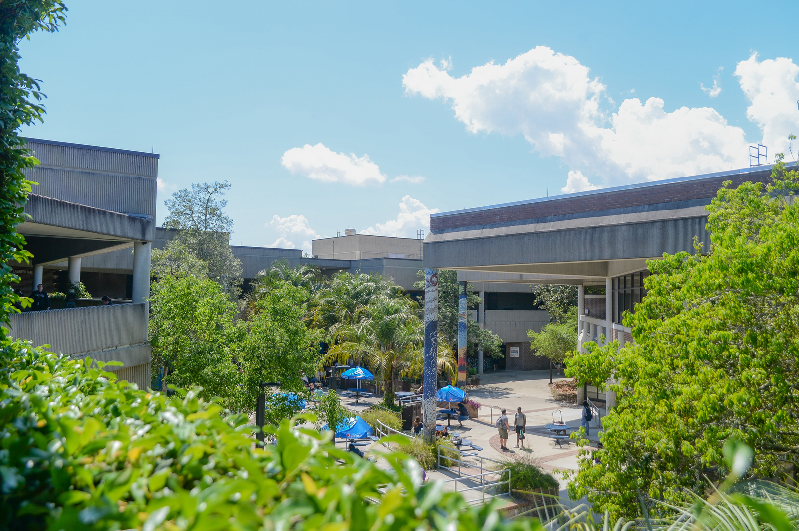 UNF Campus