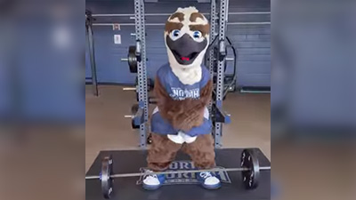 Ozzie swooping in the gym while standing over free weights