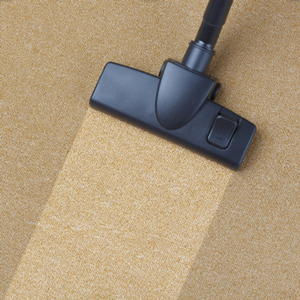 vaccuum on tan carpet