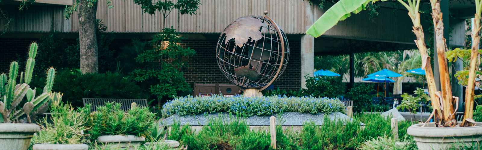 globe in middle of greenery