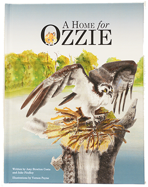 a home for ozzie book cover