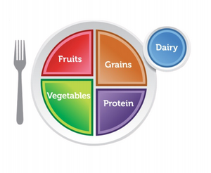 balanced meal plate