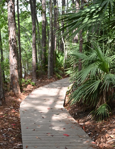 outdoor nature trail