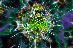 bacteria illustration