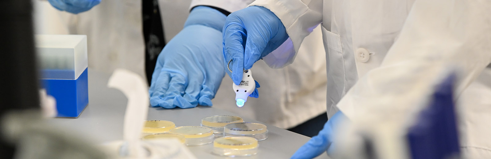 Close up of scientists working on petri dishes