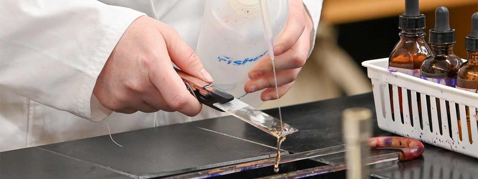 Scientist working on biological research with test equipment
