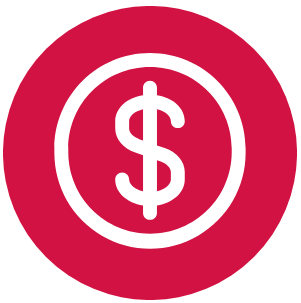 money icon