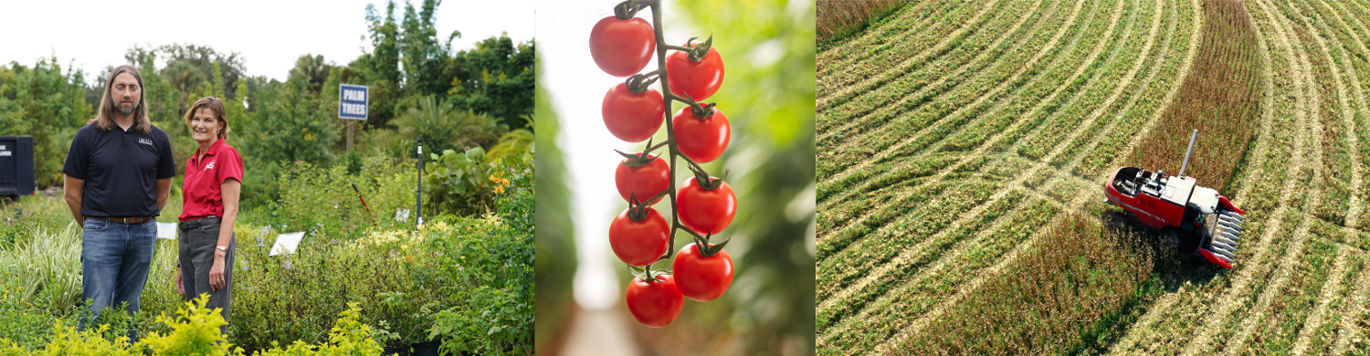 a collage of three with Cathy and Mike at Liberty Landscape, a vine of tomatoes, and a tractor in a field