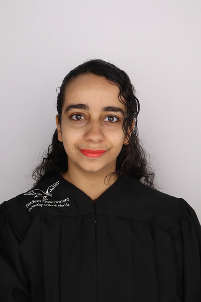 Headshot of Deputy Chief Justice Joy Boktor 