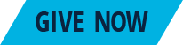 give now button