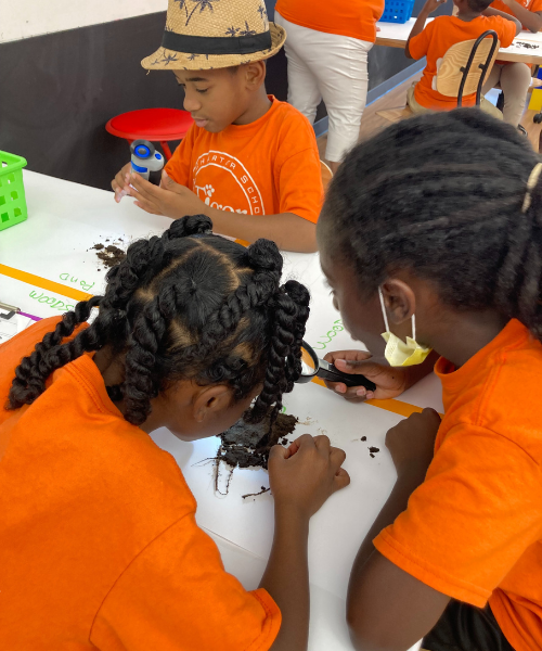 Tiger Students Inspecting Soil in orange shirts