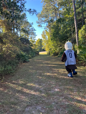 Ozzie running down a trail