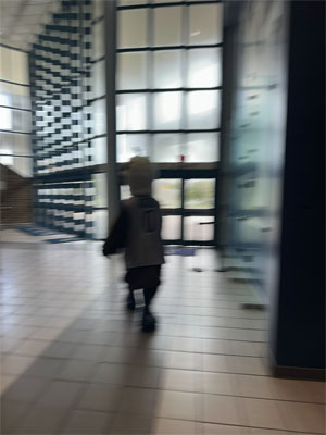 Ozzie trying to escape out of the gym