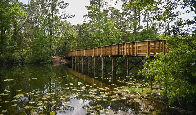 wooden bridge over a pond connecting two nature trails