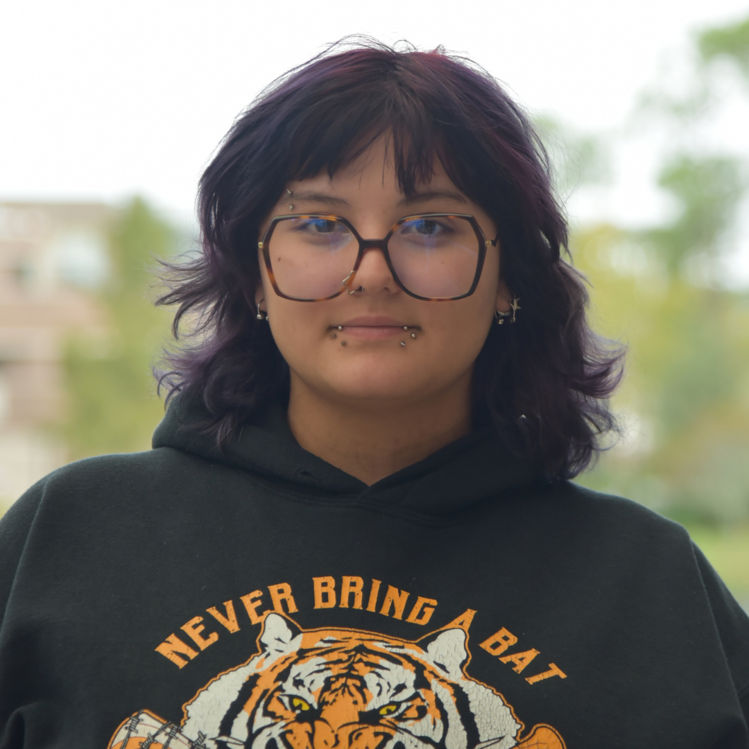 Cat is wearing a sweatshirt and glasses