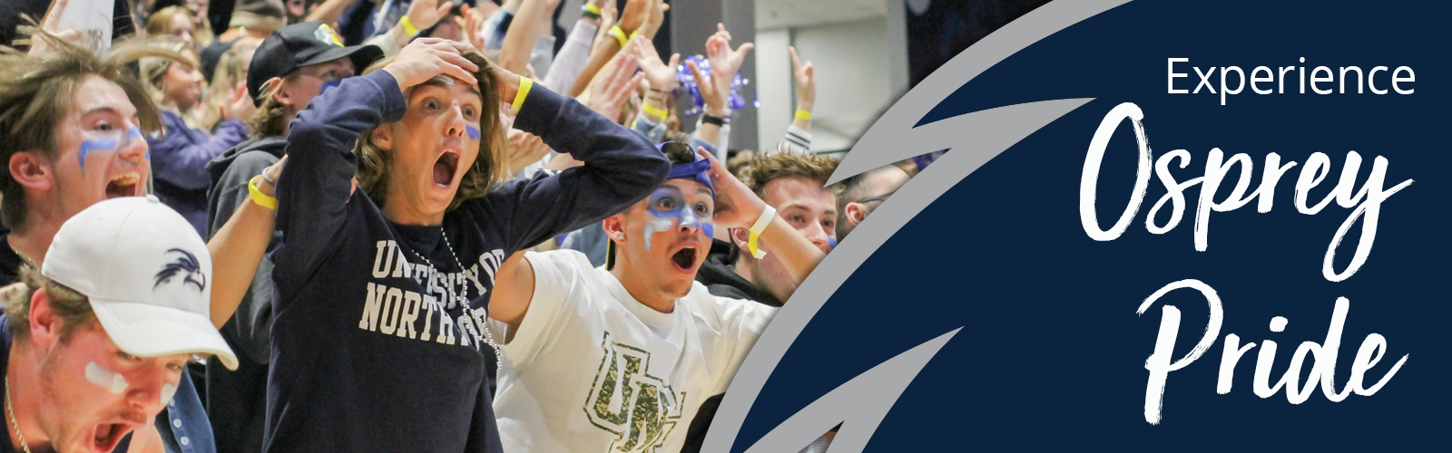 experience osprey pride with a surprised crowds at a game
