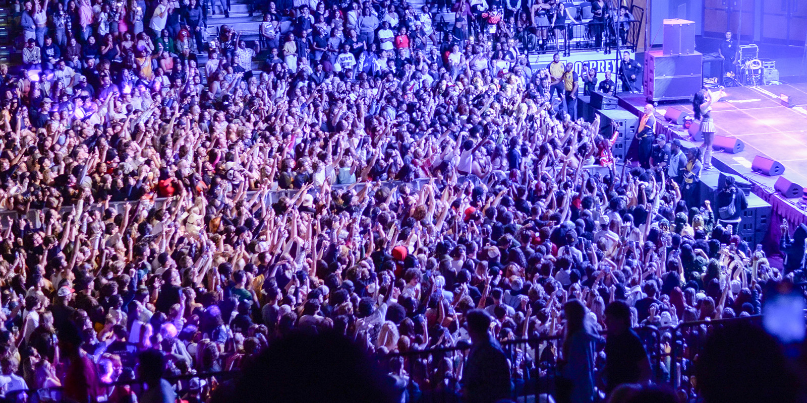 large crowd at Ozfest concert