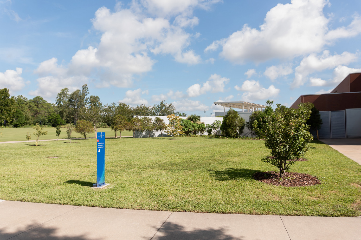 open lawn space surrounded by a row of trees