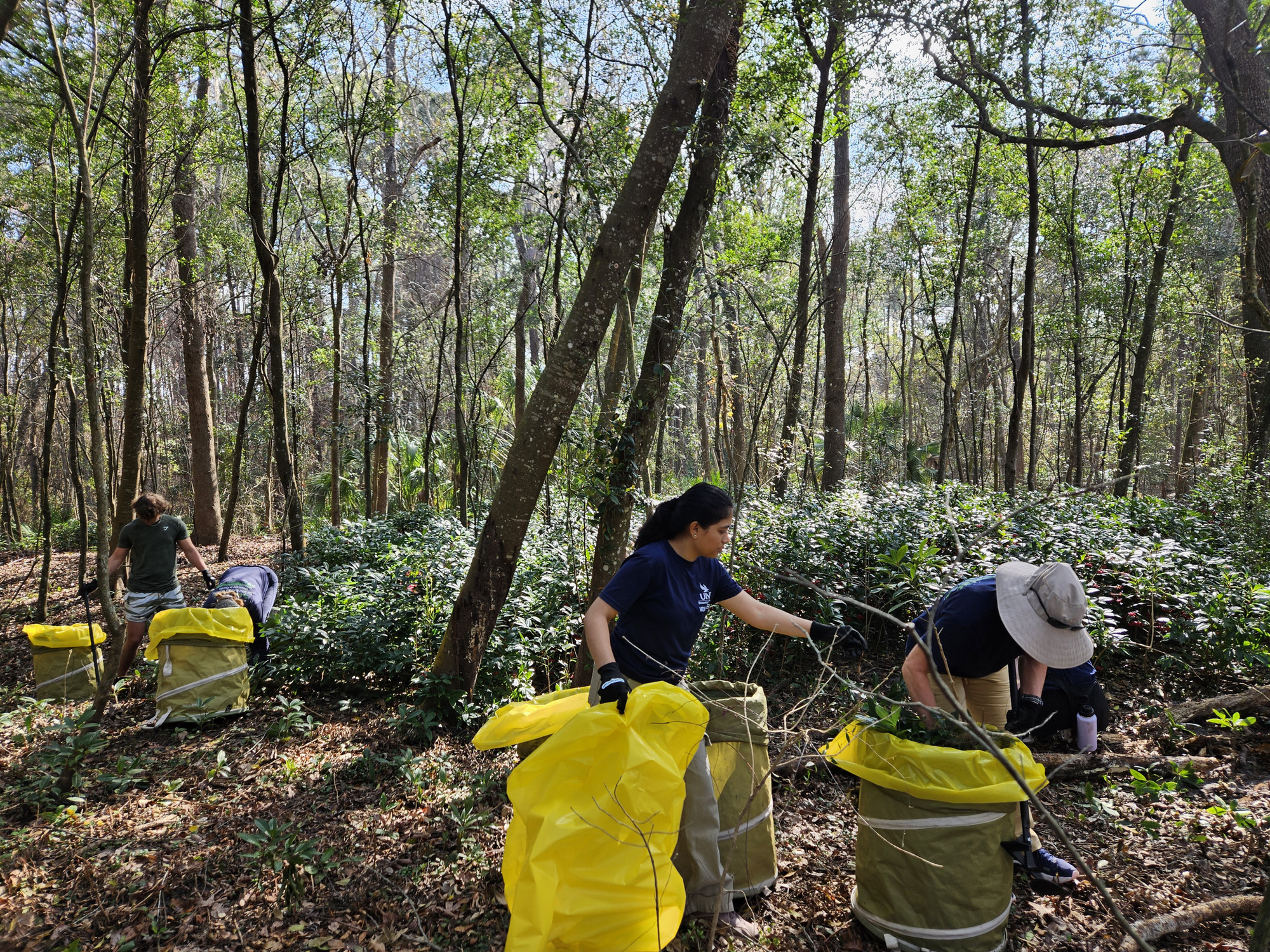 Team Removing Plants and Litter