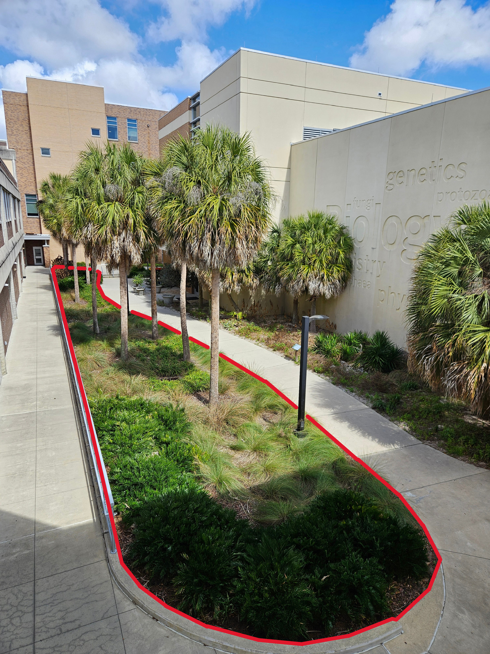 Native garden between two buildings