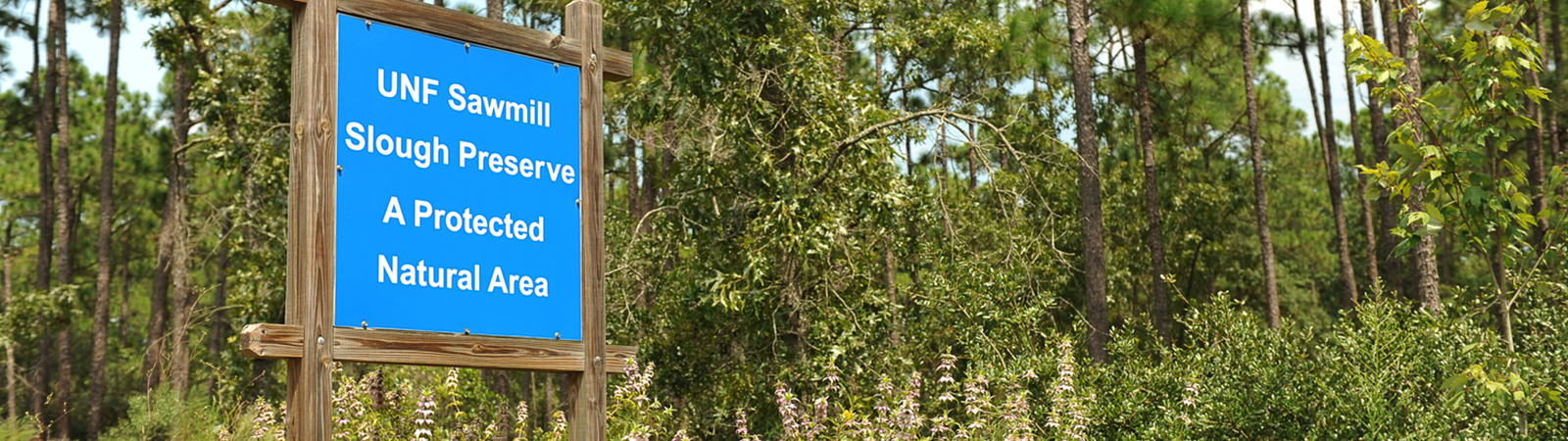 sawmill slough preserve sign