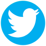 Blue Twitter bird icon