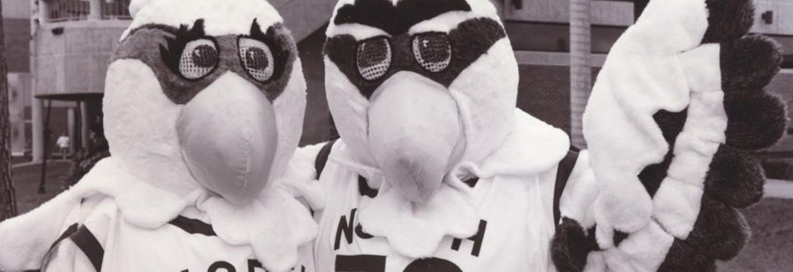 Ozzie and Harriet