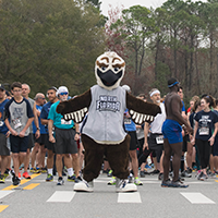 Ozzie the mascot in front a crowd
