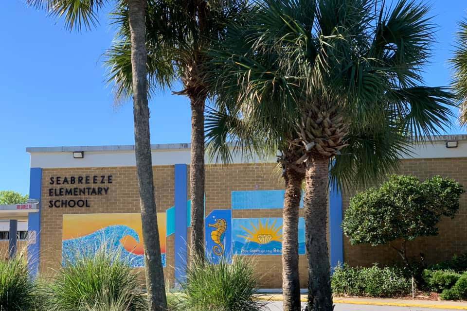 Seabreeze Elementary Landscape